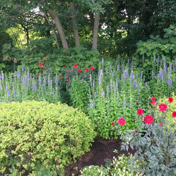 Gardens: Perennial and Mixed Borders