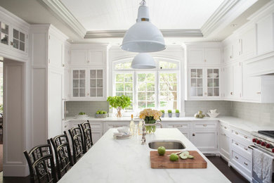 Kitchen - transitional kitchen idea in New York