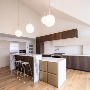 Sleek Modern White and Wood Home Renovation