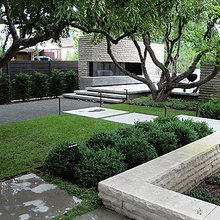 bench and trees