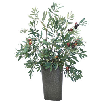 Olive Tree in a Wall Pocket