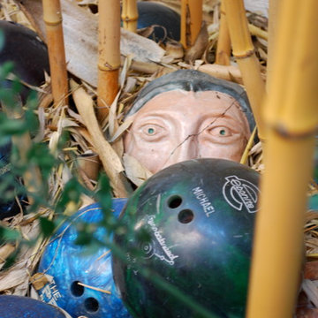 Favorite Plants and Cool Stuff