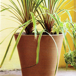 Italian White Terracotta Cone Planter - Outdoor Pots And Planters