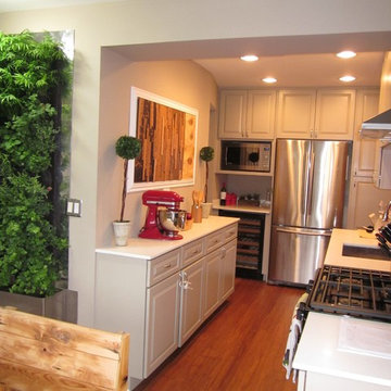 Kitchen Crashers - Kitchen Makeover