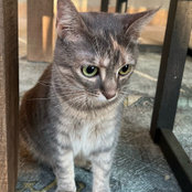Catie Neuwirth's photo