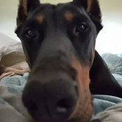 Eric Noonan's photo