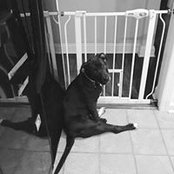 Tracy Newton's photo