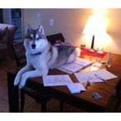 Bosley Thomas II's photo