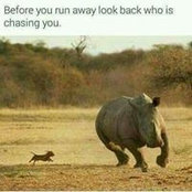 Adan Arero's photo