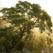 Maartje Vandermares's photo