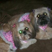 Photo de Edna Farnsworth