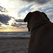David Deramo's photo