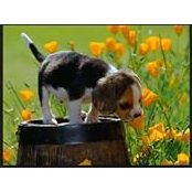 Mark Johnson's photo