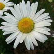 Amy Rice's photo