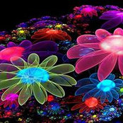 Tammi Moore's photo
