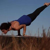 Amy Morse's photo