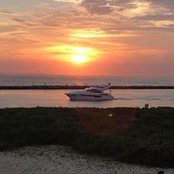 Harry Falk's photo