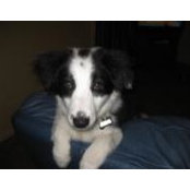 Fiona Stevenson's photo