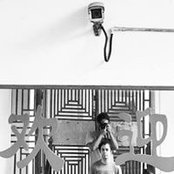 Kuku Kaka's photo