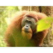 Eddy Leong's photo