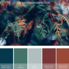 Fall Decor/Colors