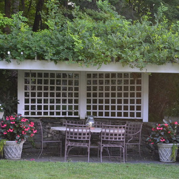 Pergola and patio