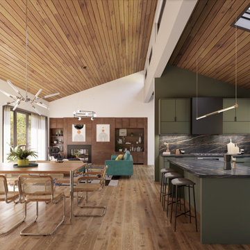 Mountainview Modern