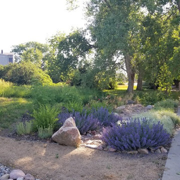 Permaculture Project