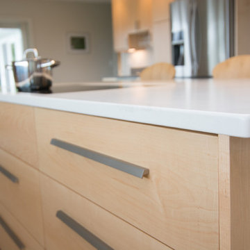 Full-Access Contemporary Kitchen