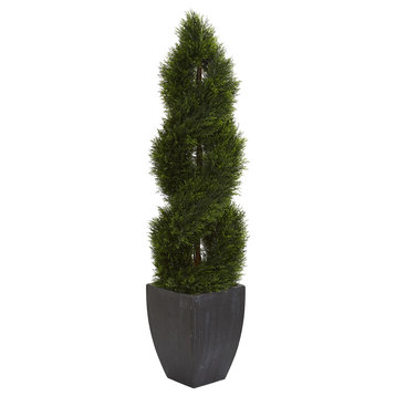 5' Double Pond Cypress Spiral Topiary Tree, Black Wash Planter Uv Resistant