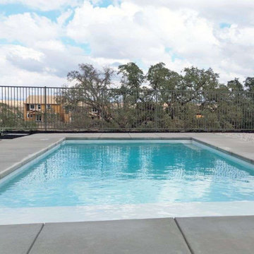 Modern Xeriscape and Rectangle Swimming Pool