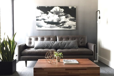 Home design - modern home design idea in Denver