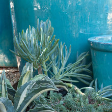 Landscape Ideas