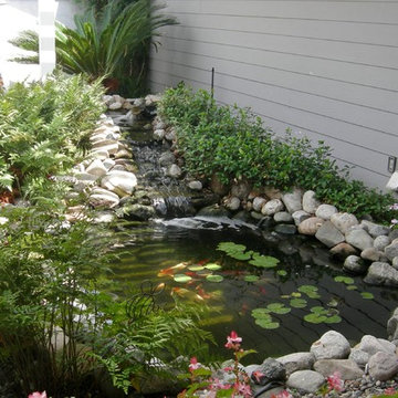 North Tustin Koi Pond