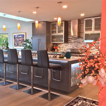 Carr Residence Interior
