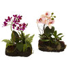 Orchid Island, Set of 2, Pink and Green