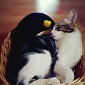 Azzurra Mazzocchi's photo
