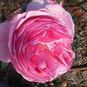 Foto von Barb Edkins