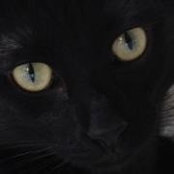 Melissa Rozakis's photo