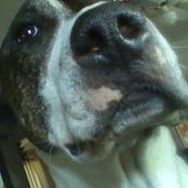 Natalie Kieninger's photo