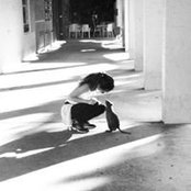 Jessica Lim's photo