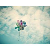 Stephanie Yu's photo