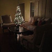 Bee Rose's photo