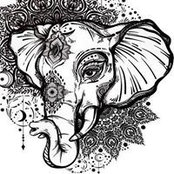 Lili Lapatate's photo