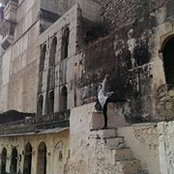 Estell Chien's photo