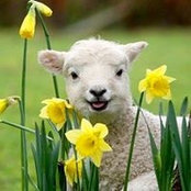 Marcella Rheaume's photo