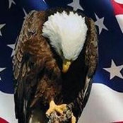 Adam Kahn's photo