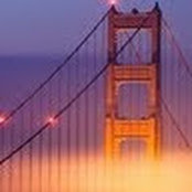 Michelle O'Leary's photo