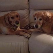 Gina Wintermute's photo
