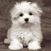 Charlene Swisher's photo